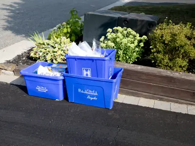 Three blue recycling bins placed at the curb